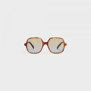 Blonde Havana Celine Oversized S244 in Acetate Sunglasses | CL-592434