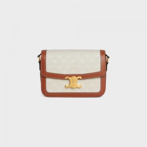 Natural / Tan Celine Classique Bag in TEXTILE WITH ALL-OVER AND CALFSKIN Triomphe | CL-593182