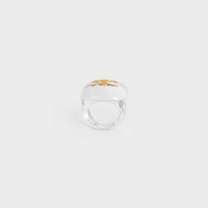 Transparent & Gold Celine Triomphe in Plexiglass and Brass with Gold Finish Rings | CL-592184