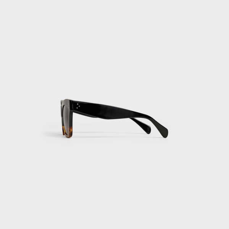 Black / Havana Celine Cat Eye S004 in Acetate Sunglasses | CL-592429