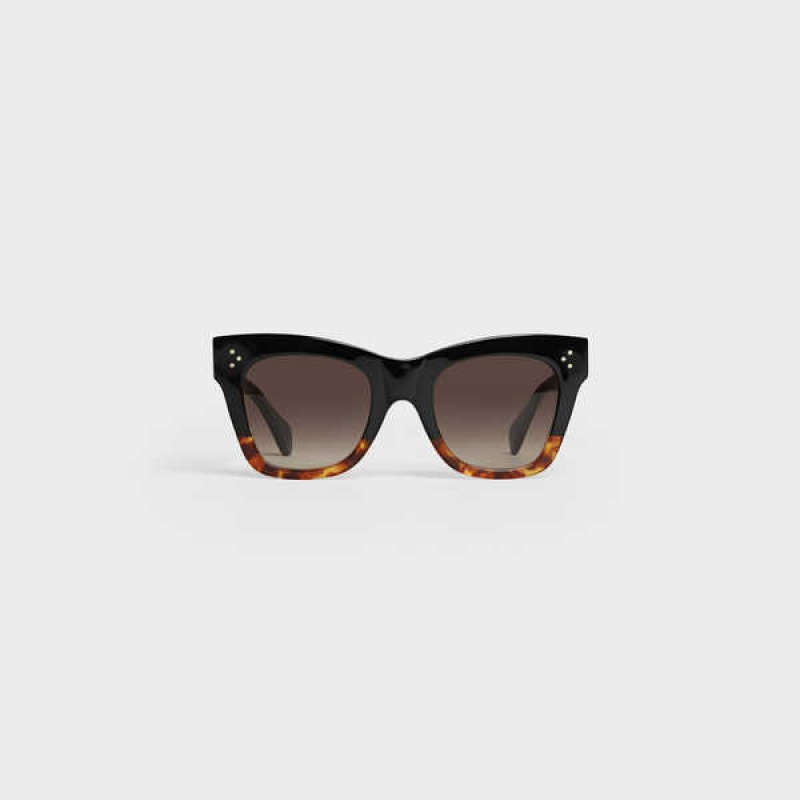 Black / Havana Celine Cat Eye S004 in Acetate Sunglasses | CL-592429