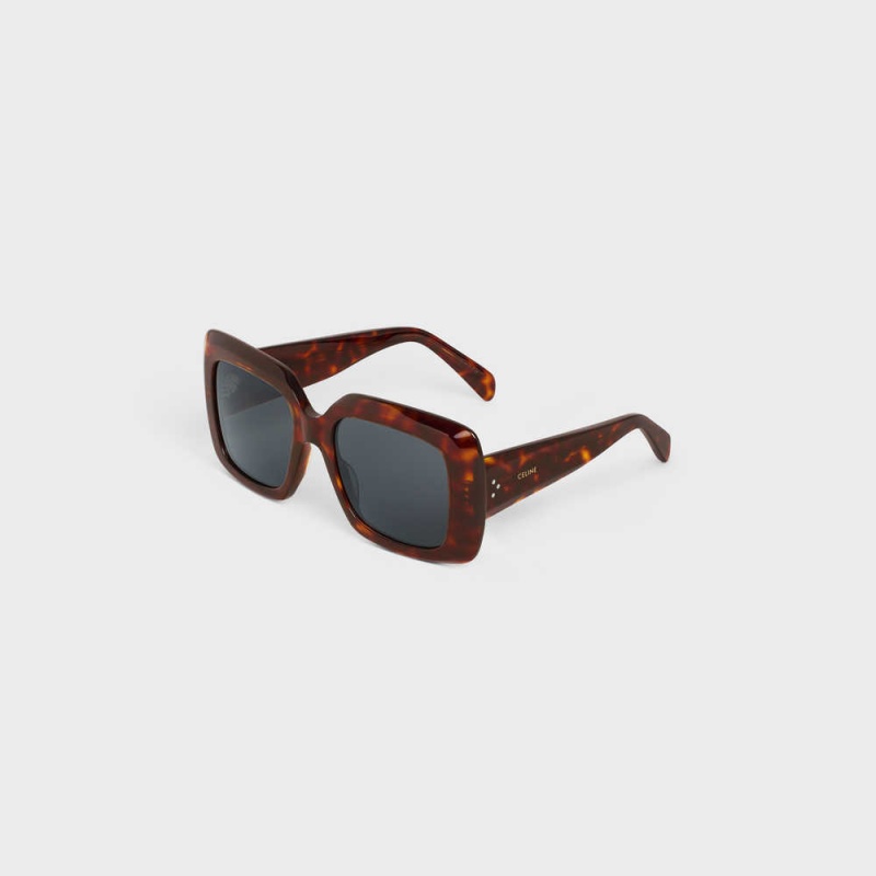 Classic Havana Celine Square S263 in Acetate Sunglasses | CL-592376