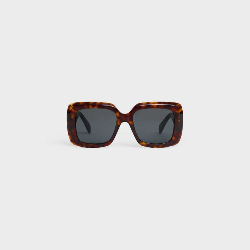 Classic Havana Celine Square S263 in Acetate Sunglasses | CL-592376