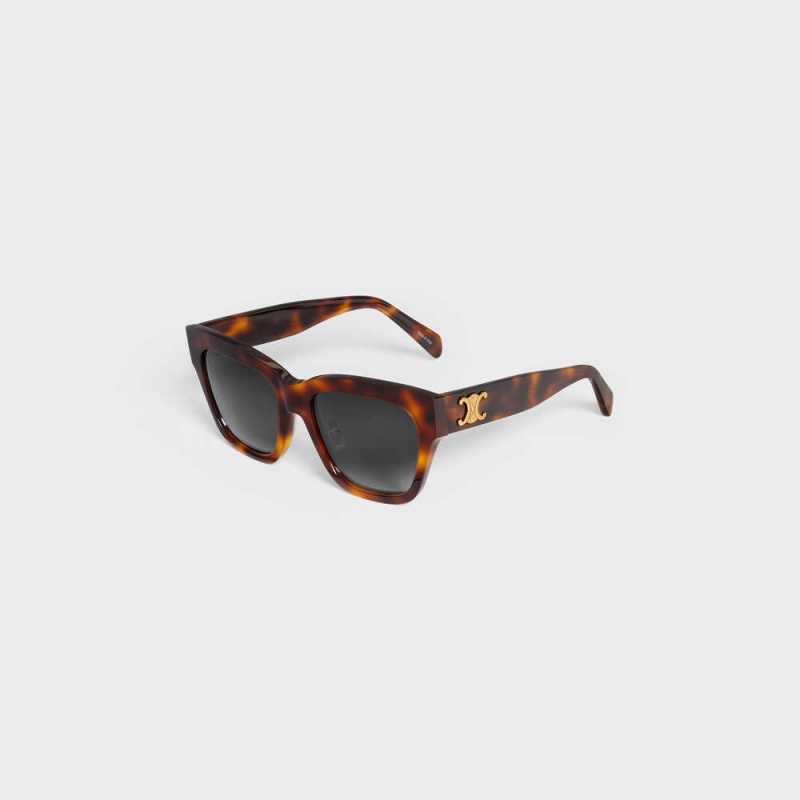 Classic Havana Celine Triomphe 09 in Acetate Sunglasses | CL-592389