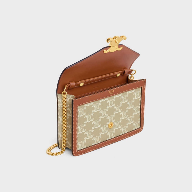 Grege Celine WALLET ON CHAIN TRIOMPHE in TRIOMPHE CANVAS AND CALFSKIN Mini Bags | CL-593026