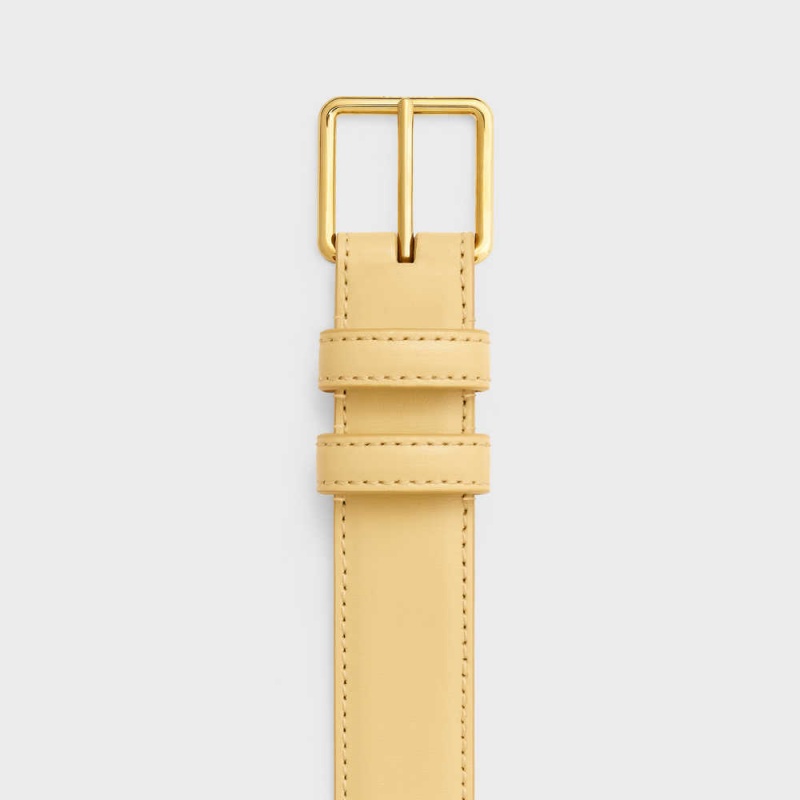 POLLEN Celine BAG TRIOMPHE in SHINY CALFSKIN Belts | CL-592475