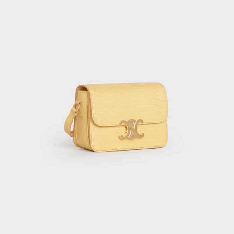 POLLEN Celine Teen Bag in lizard Triomphe | CL-593217