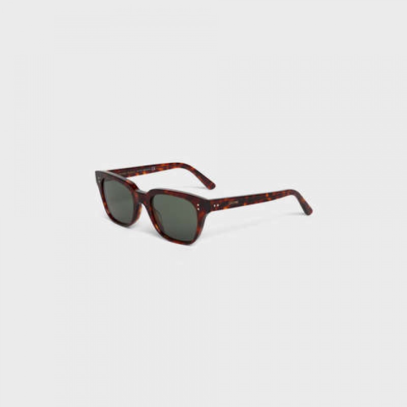 Red Havana Celine Frame 04 in Acetate Sunglasses | CL-591739