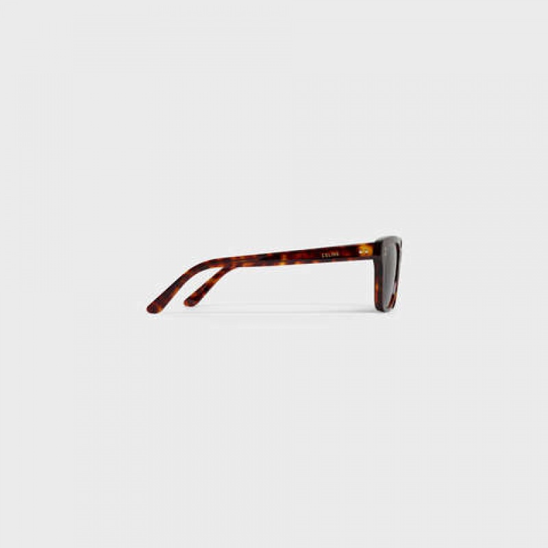 Red Havana Celine Frame 04 in Acetate Sunglasses | CL-591739