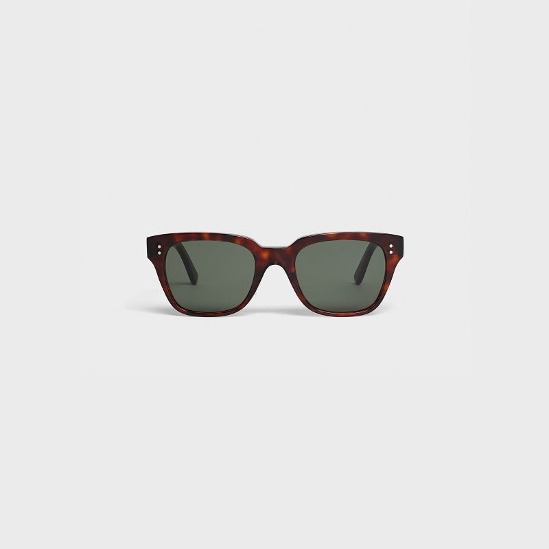 Red Havana Celine Frame 04 in Acetate Sunglasses | CL-591739