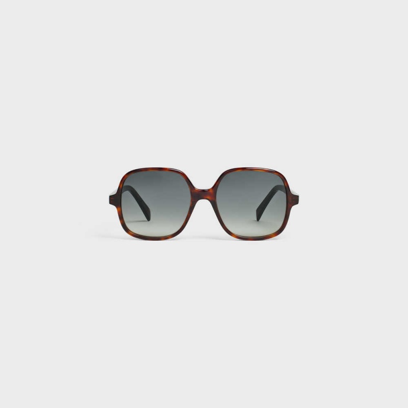 Red Havana Celine Oversized S244 in Acetate Sunglasses | CL-592435