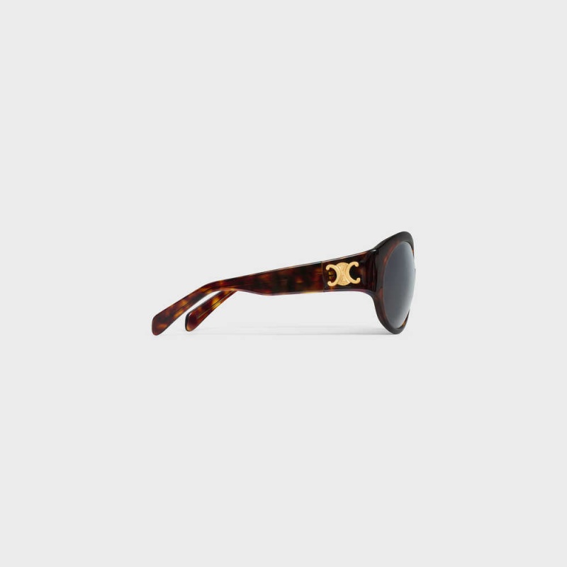 Red Havana Celine Triomphe 11 in Acetate Sunglasses | CL-592373