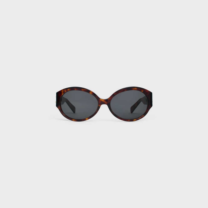 Red Havana Celine Triomphe 11 in Acetate Sunglasses | CL-592373